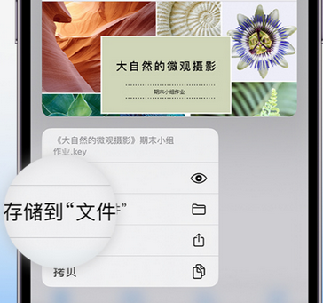 北泉镇apple维修中心分享iPhone文件应用中存储和找到下载文件