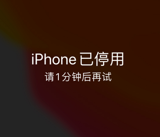 北泉镇苹果手机维修分享:iPhone 显示“不可用”或“已停用”怎么办？还能保留数据吗？ 