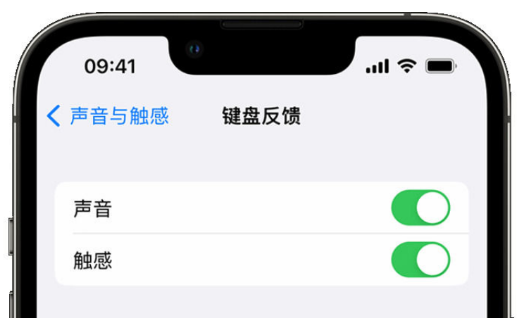 北泉镇苹果手机维修分享iPhone 14触感键盘使用方法 