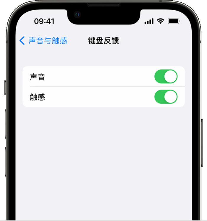 北泉镇苹果14维修店分享如何在 iPhone 14 机型中使用触感键盘 