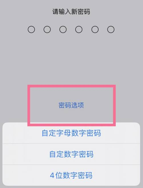 北泉镇苹果14维修分享iPhone 14plus设置密码的方法 